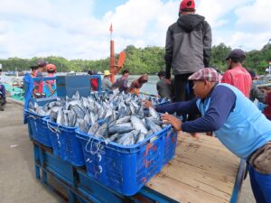The Indonesia-China fisheries agreement presents both economic opportunities and challenges, requiring inclusive policies and sustainable practices to protect local fishing communities and marine ecosystems. Image source: Anthonikovii, CC BY 4.0, via Wikimedia Commons. The Indonesia-China fisheries agreement presents both economic opportunities and challenges, requiring inclusive policies and sustainable practices to protect local fishing communities and marine ecosystems. Image source: Anthonikovii, CC BY 4.0, via Wikimedia Commons.