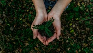 Source: Unsplash Source: Unsplash