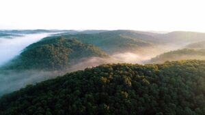 Source: Unsplash Source: Unsplash